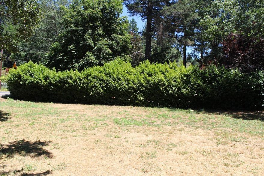 3.82 acres of property that is in the city limits of Cave Junction. This property is level and heavily timbered, with many possible uses. Check with the city; property may be split for residential or could be rezoned as commercial. All information deemed accurate, but not verified. Buyers to do own due diligence into the uses of this property.