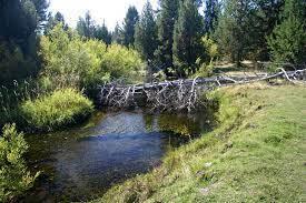 Deschutes River Recreation Homesites - Land