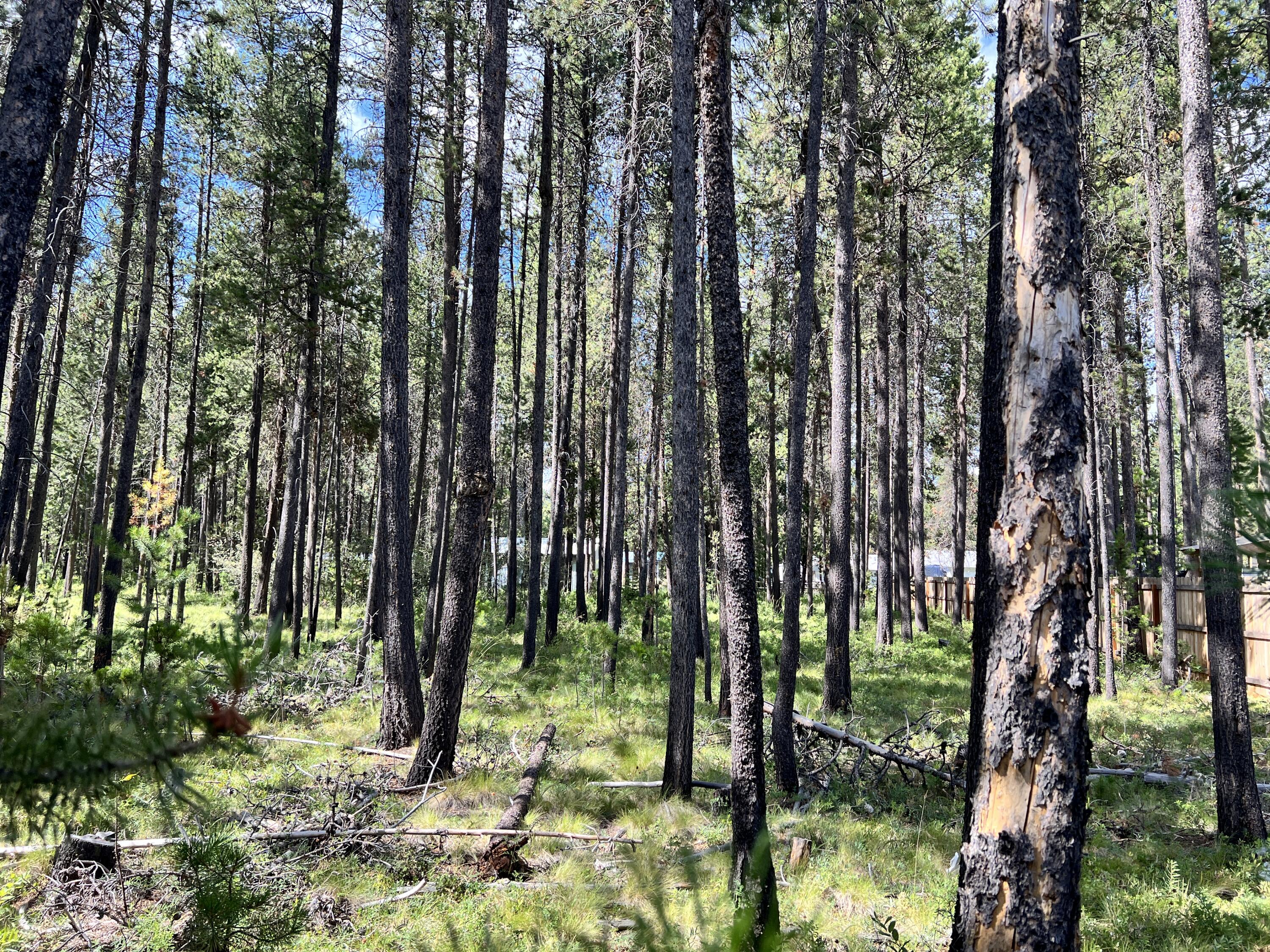 Deschutes River Recreation Homesites - Land