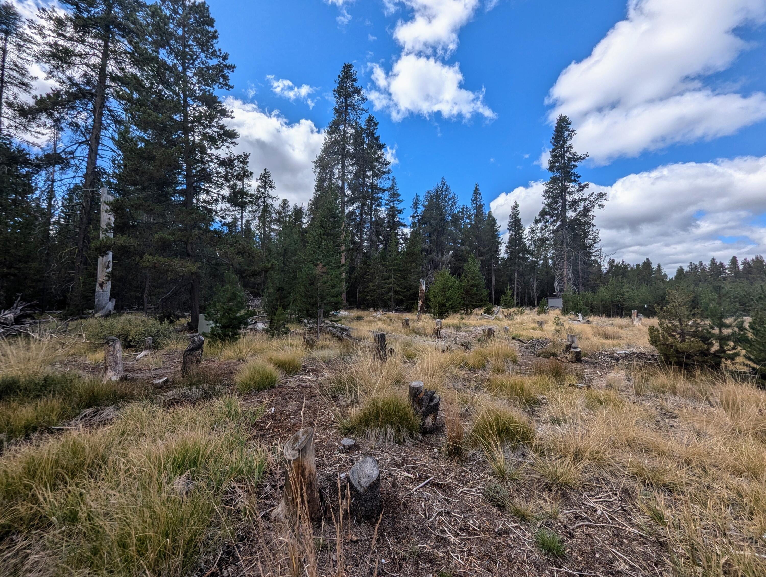 Mt. Scott Meadow - Land