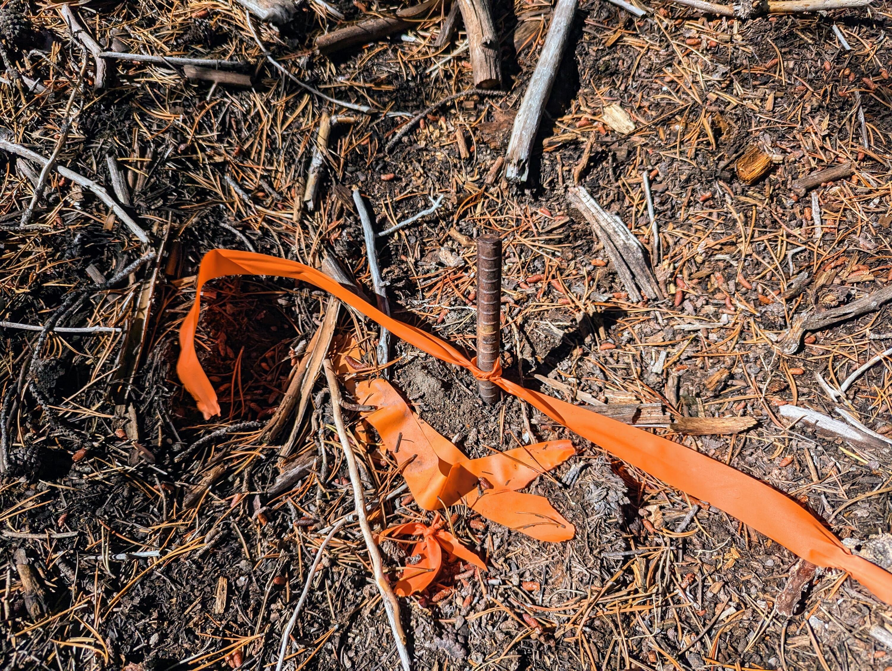 Mt. Scott Meadow - Land