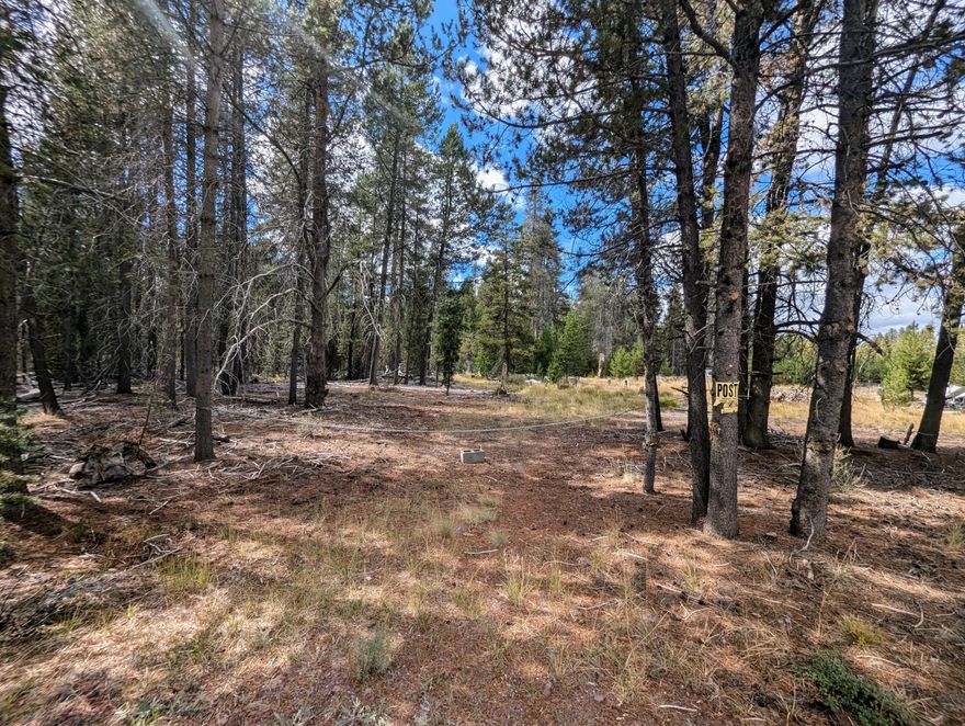 Affordable, nicely treed and partly cleared 1.04 acre  lot close to a myriad of outdoor opportunities including Crater Lake National Park. There are endless places to hike, fish, hunt, ATV or any other outdoor activity you desire within 20-60 minutes away. Situated on a quiet road at the back side of a rural neighborhood and has a very private feel. Native plants, grasses and pines make for a tranquil location to sooth your soul. Make this your summer recreation getaway in the woods or build your Central Oregon dream home!