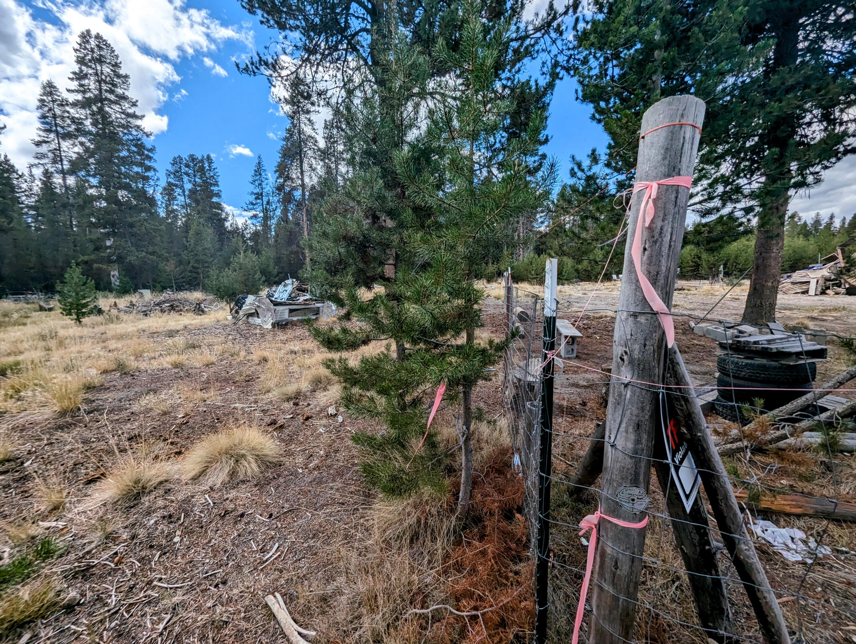 Mt. Scott Meadow - Land