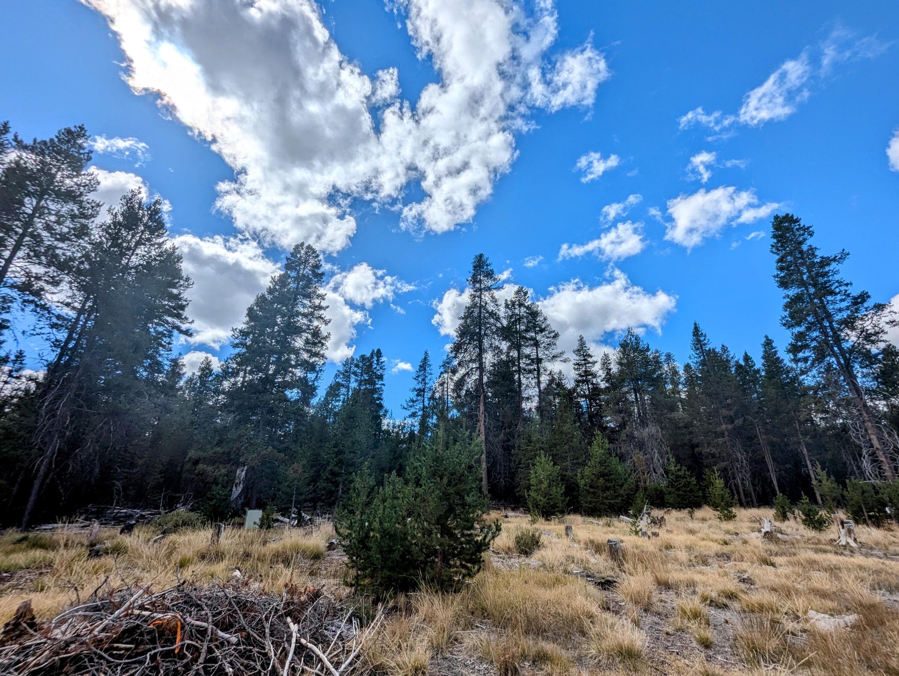 Mt. Scott Meadow - Land