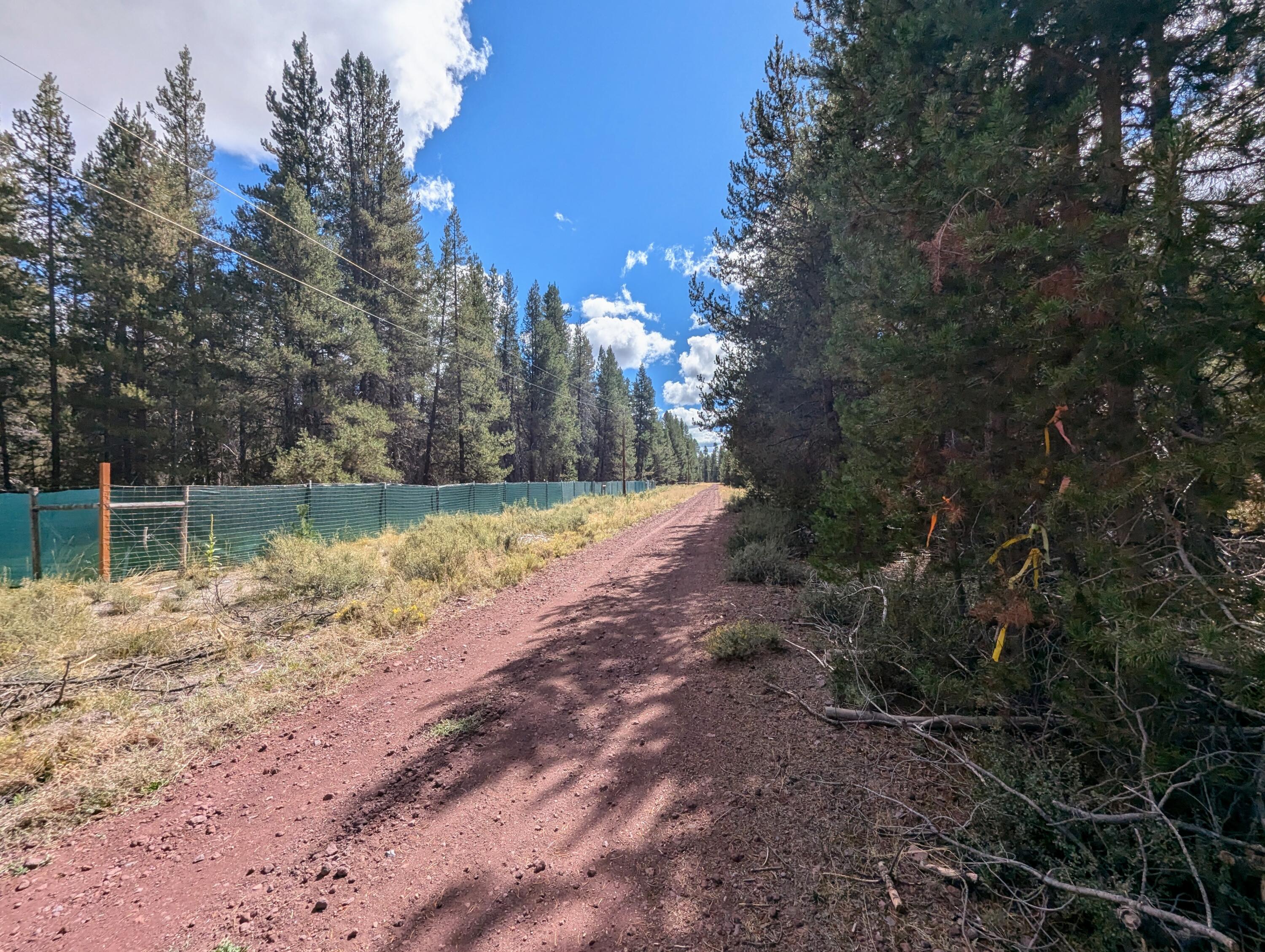 Mt. Scott Meadow - Land