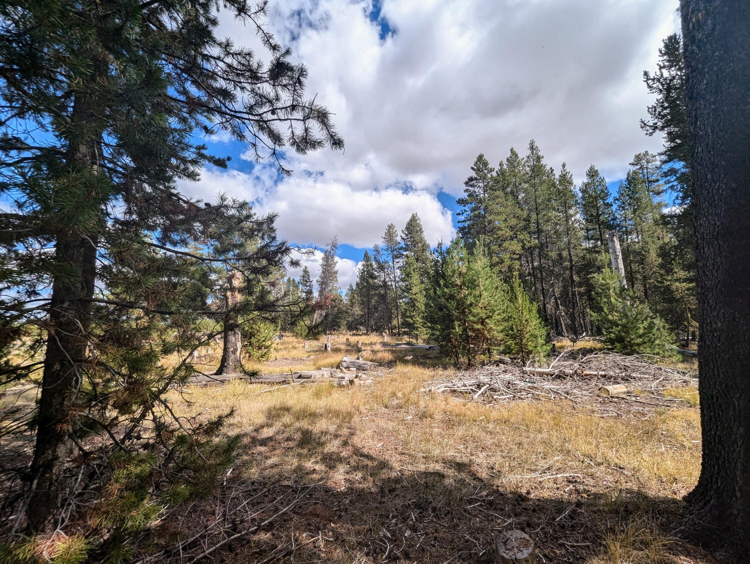 Mt. Scott Meadow - Land