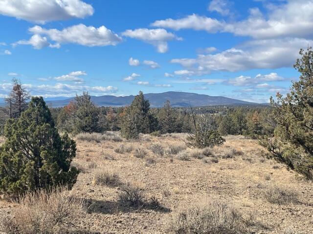 Longhorn Ridge - Land