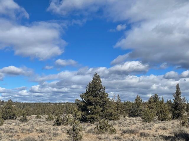 Longhorn Ridge - Land