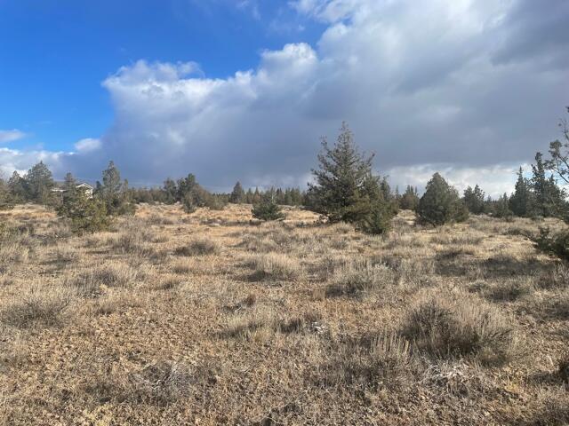 Longhorn Ridge - Land