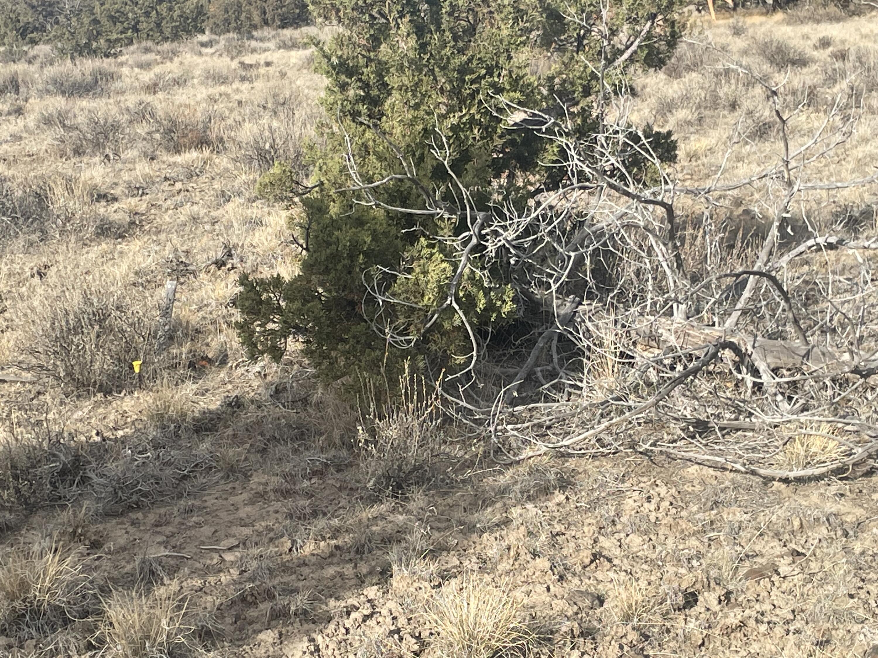 Longhorn Ridge - Land