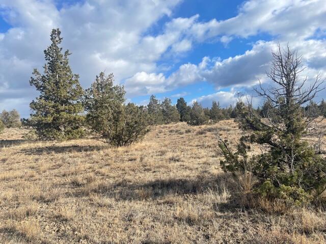 Longhorn Ridge - Land