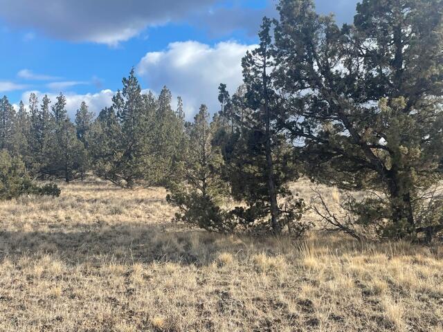 Longhorn Ridge - Land