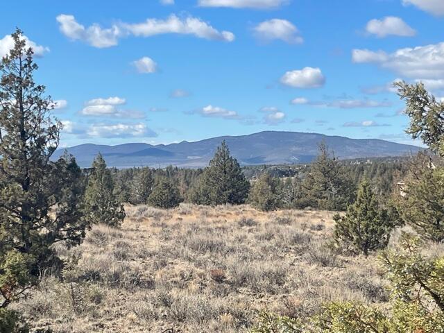 Longhorn Ridge - Land