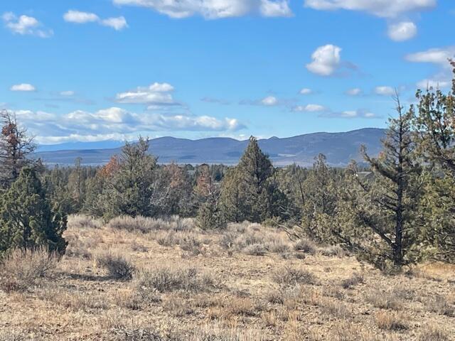 Longhorn Ridge - Land