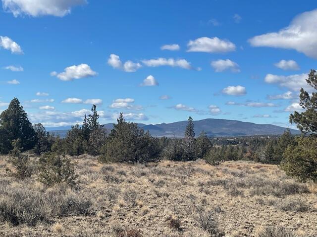 Longhorn Ridge - Land