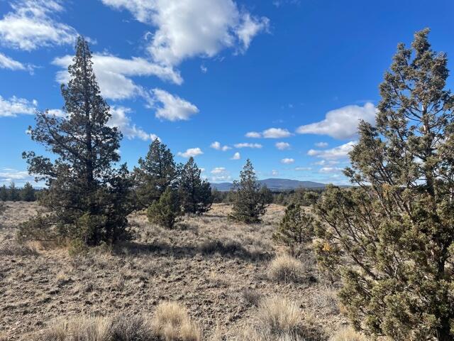 Longhorn Ridge - Land