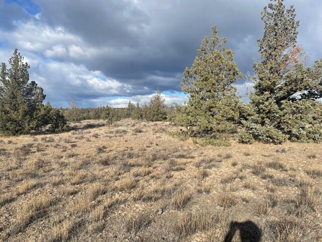 Longhorn Ridge - Land