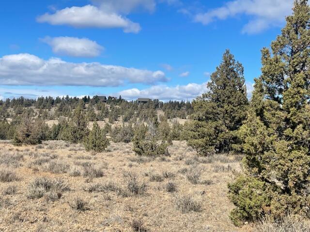 Longhorn Ridge - Land