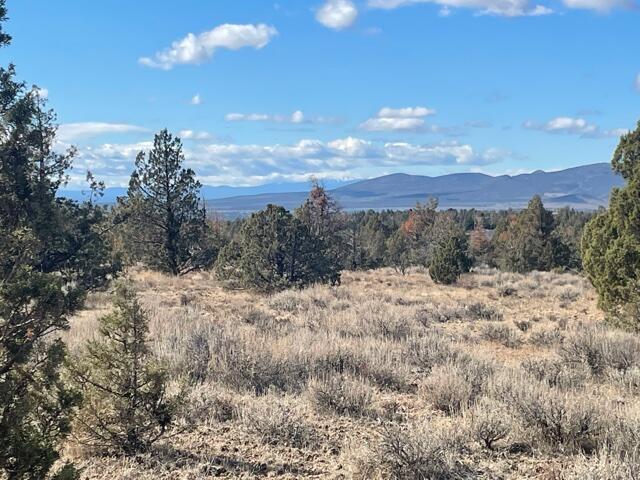 Longhorn Ridge - Land