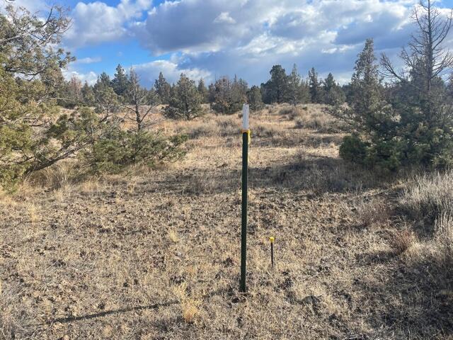 Longhorn Ridge - Land