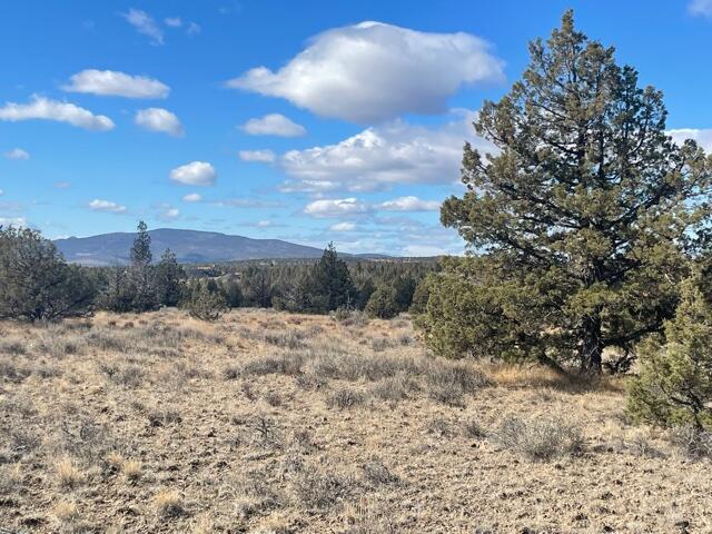 Longhorn Ridge - Land