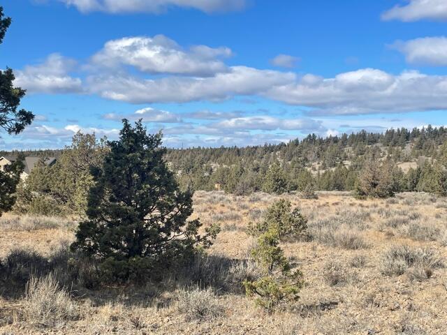 Longhorn Ridge - Land