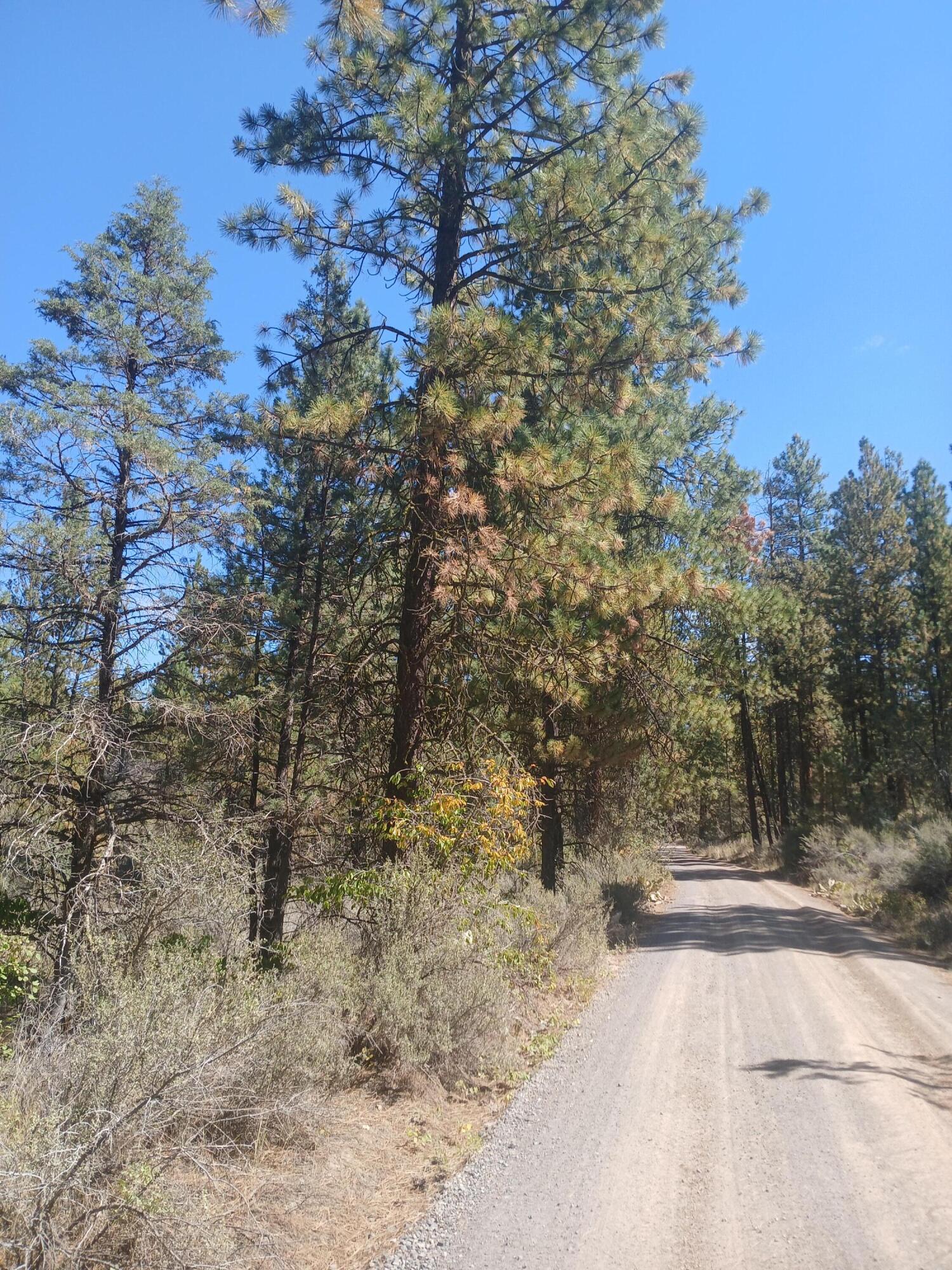 Klamath Forest Estates - Land