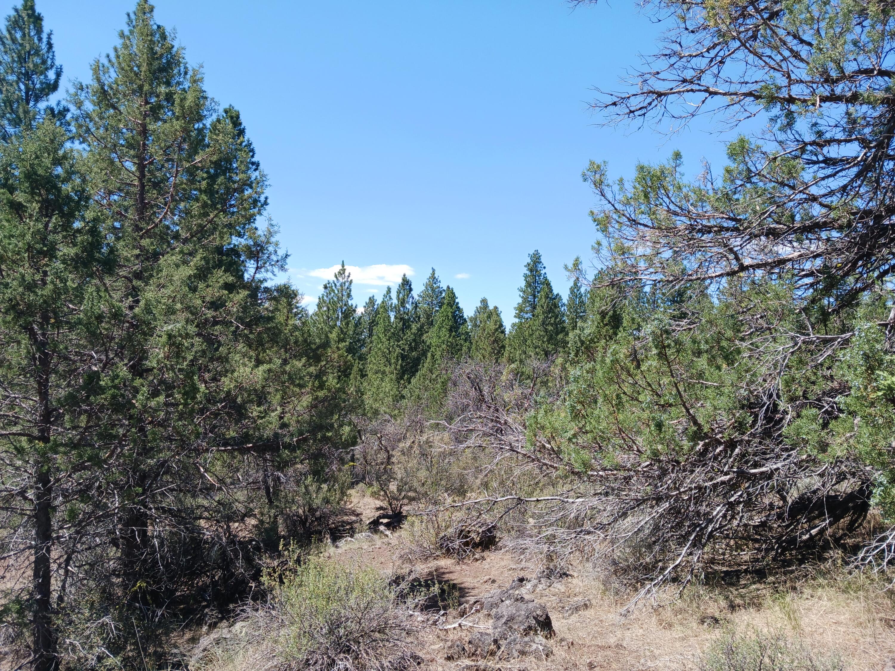 Klamath Forest Estates - Land