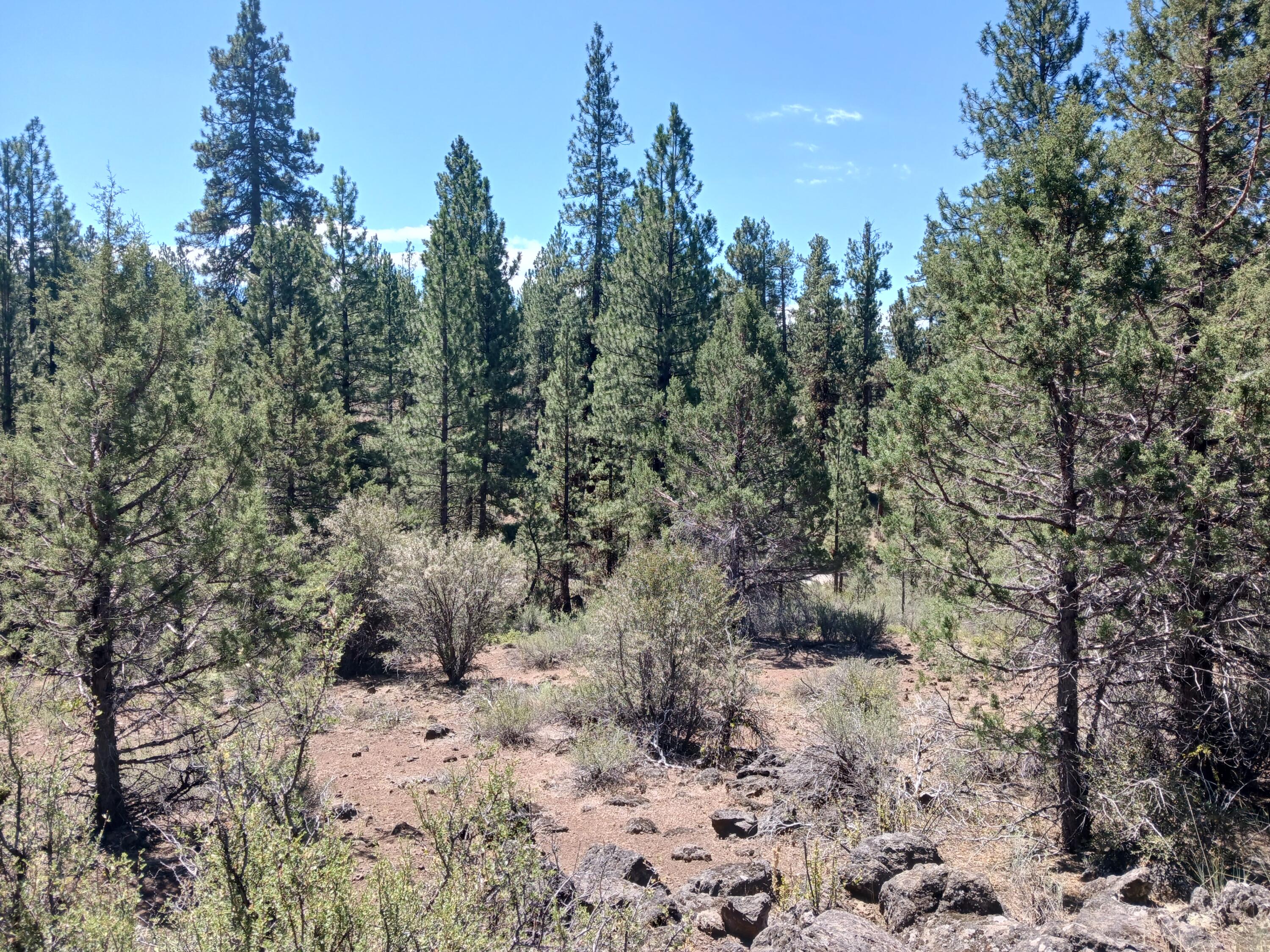 Klamath Forest Estates - Land