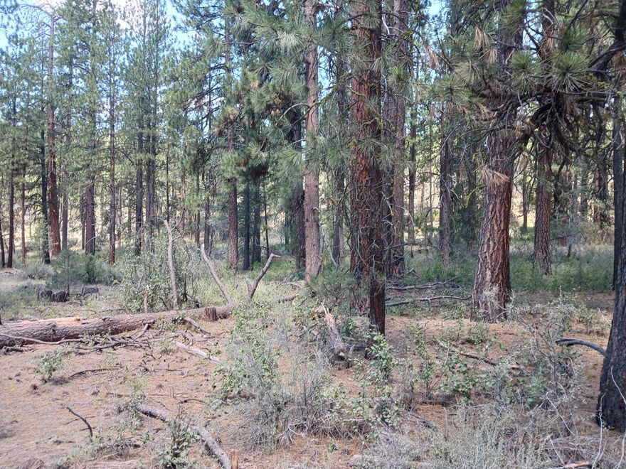 Beautiful densely wooded lot near public lands. Located in the heart of Klamath county where recreational opportunities are unlimited and wildlife is abundant. Next to main road for excellent year round access. Secluded & remotely located yet within 30 minutes of Klamath Falls. NOT affected by the recent ''Golden Fire''. Adjacent 3.6 acre lot is for sale also, buy both & have over 7 acres of mountain paradise!