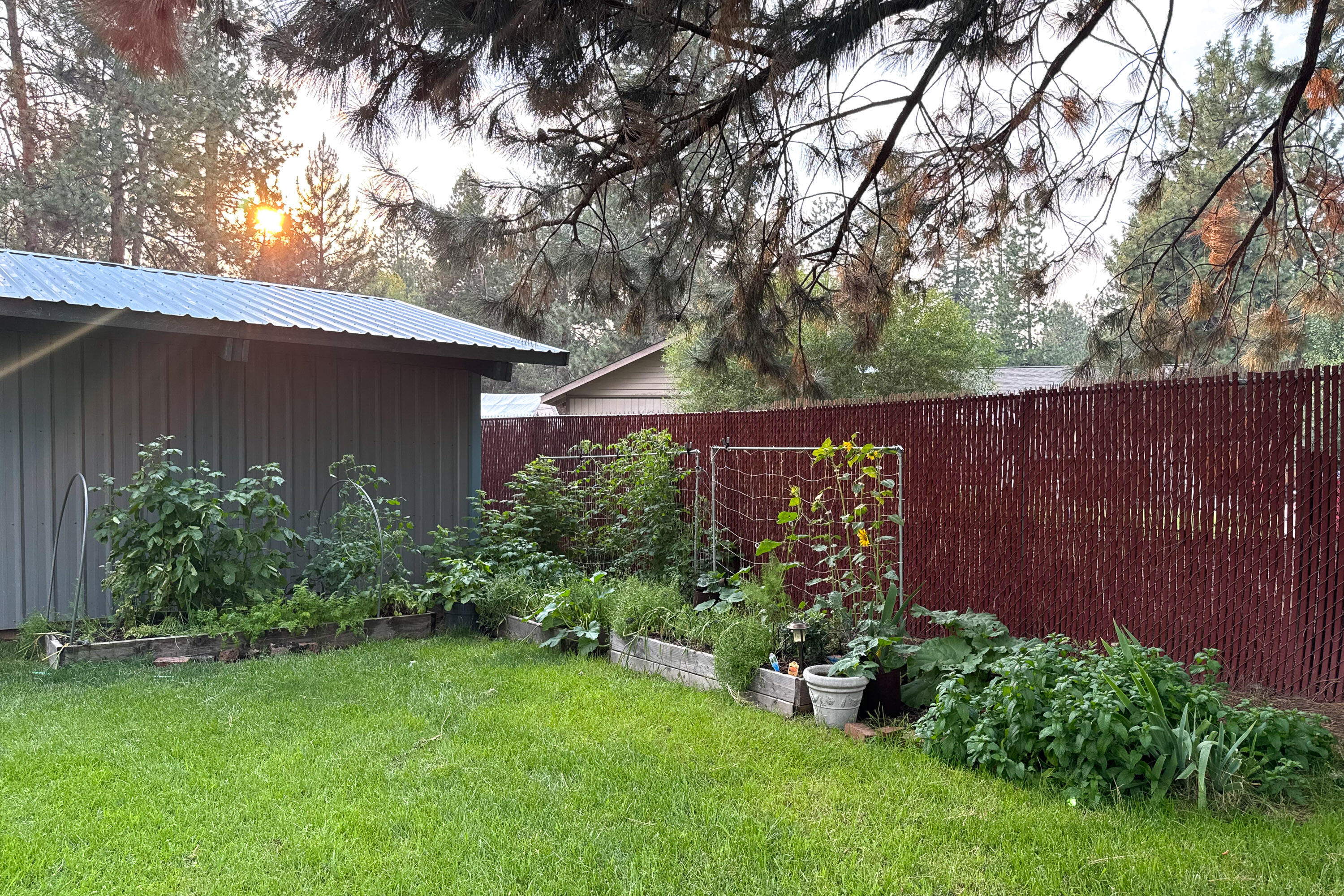 Homestead - Residential