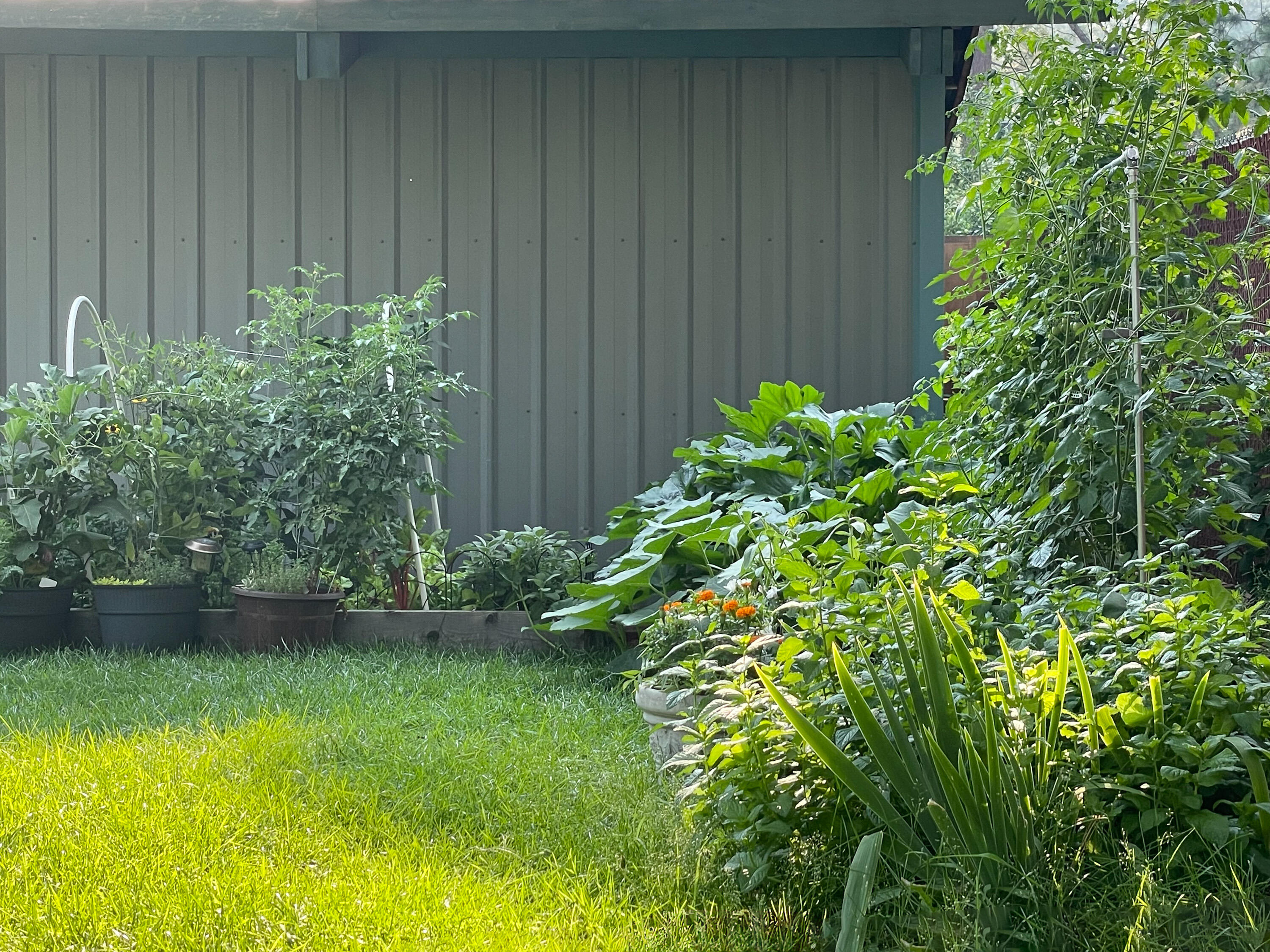 Homestead - Residential