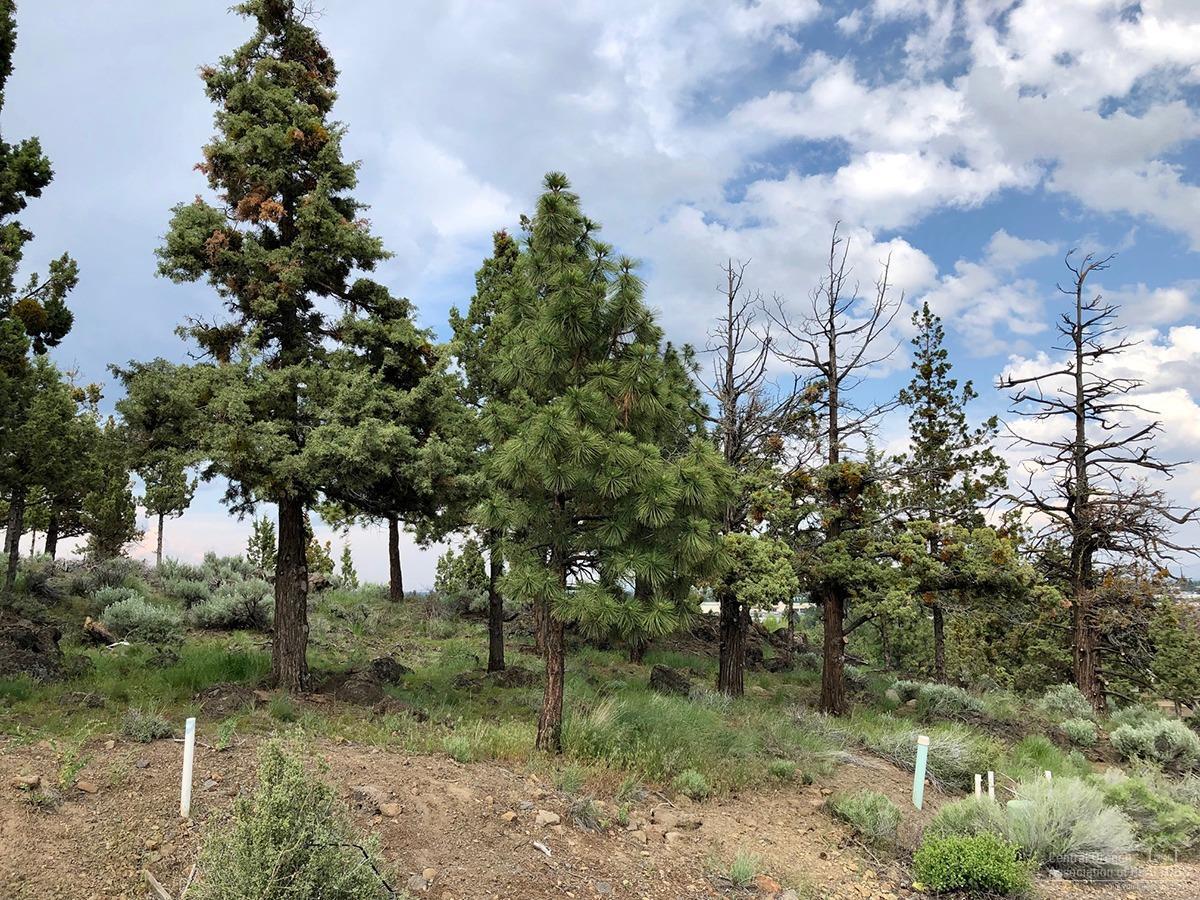 Rivers Edge Village - Land