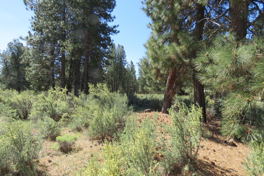 This property is in Pine Meadows Village, phase 1 on 2 acres with mature Pines. Lot offers buried utilities, Power & Fiber Optics, lot is approved for standard septic. Wells in the area are 100 ft deep. Property has CC&Rs with Stick-Built homes 1800 + sq ft, Fire Dept require Smart Home Sprinkler System. Property is close to Agency lake, Williamson River & Wood River all offering trophy trout fishing