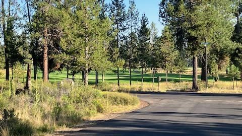 Champion Estate - Land