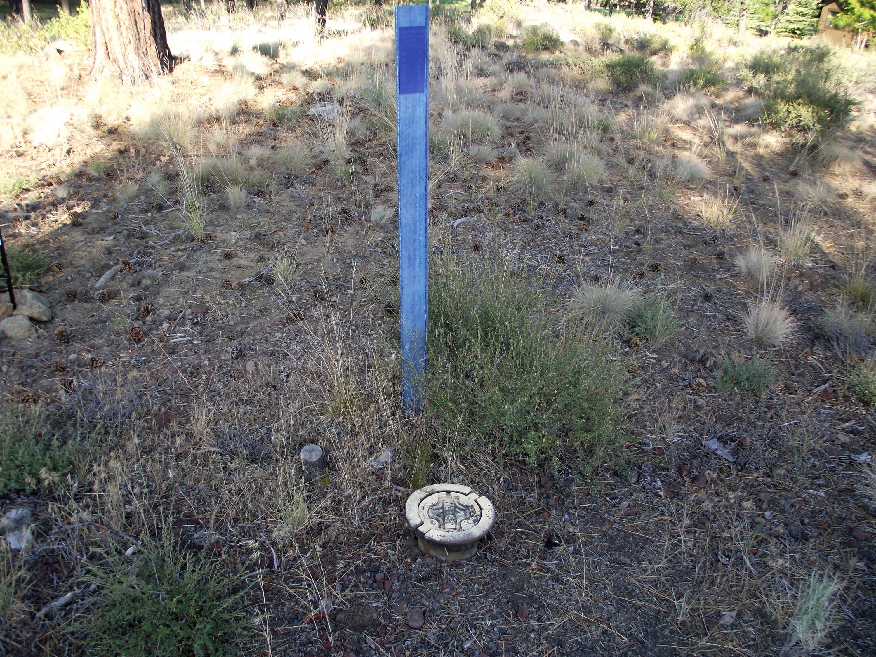 Champion Estate - Land