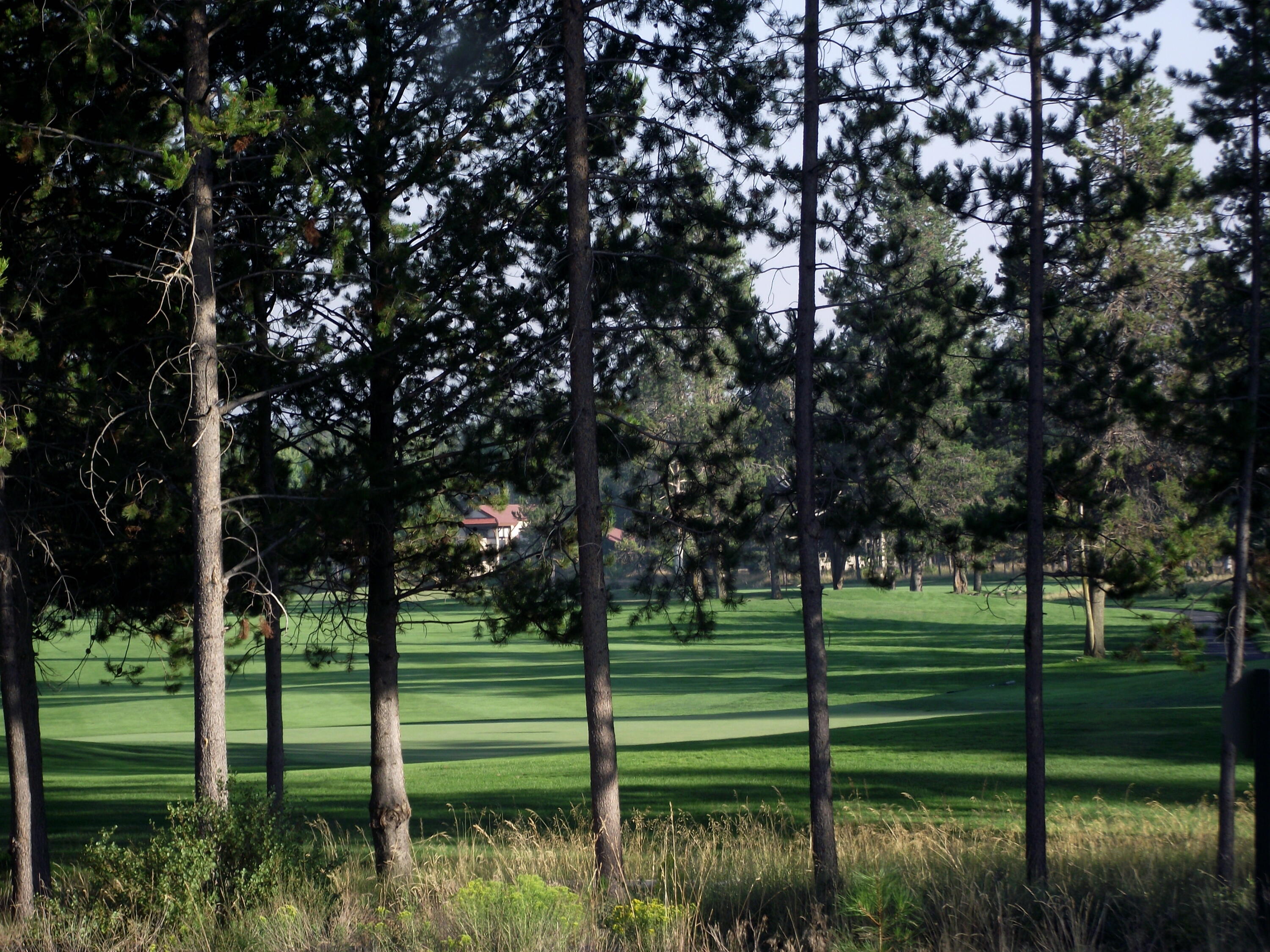 Champion Estate - Land