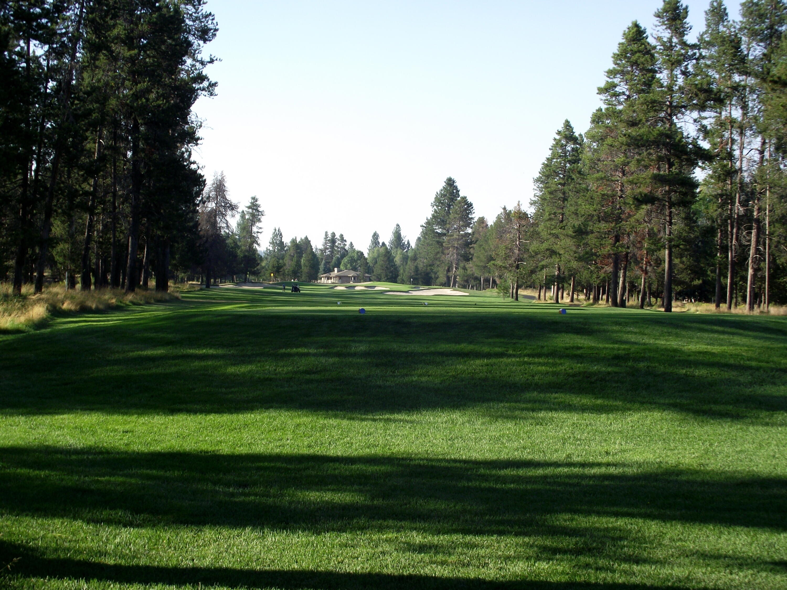 Champion Estate - Land