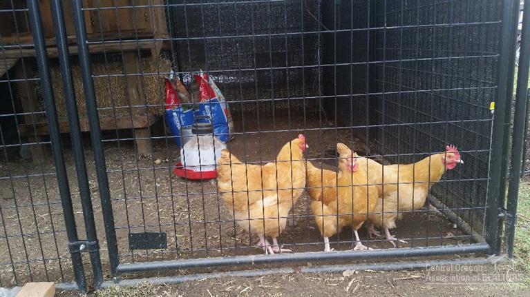 Traditions East - Residential