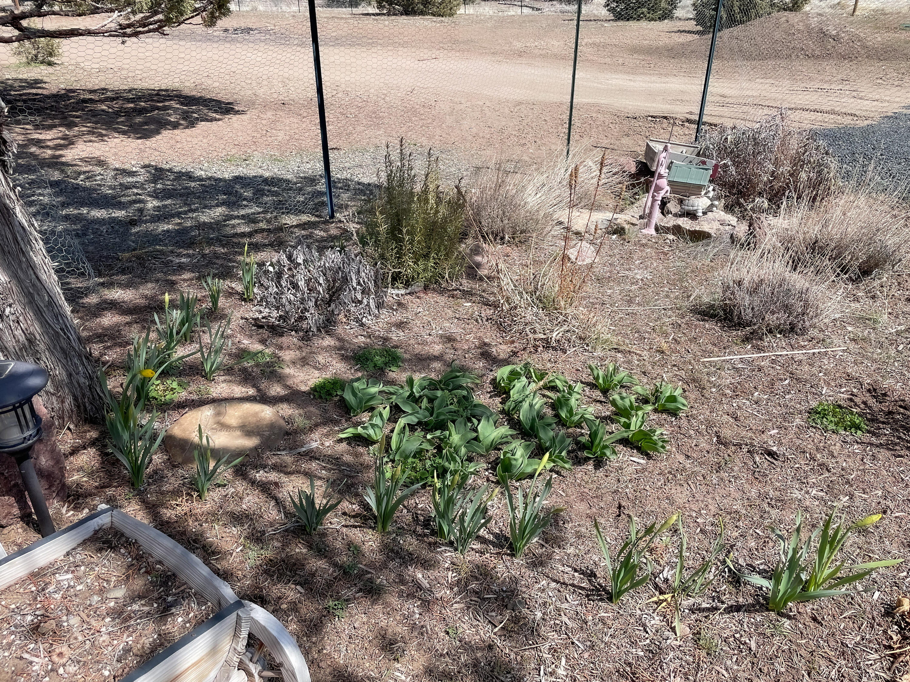 Prineville Lake Acres 2 - Land