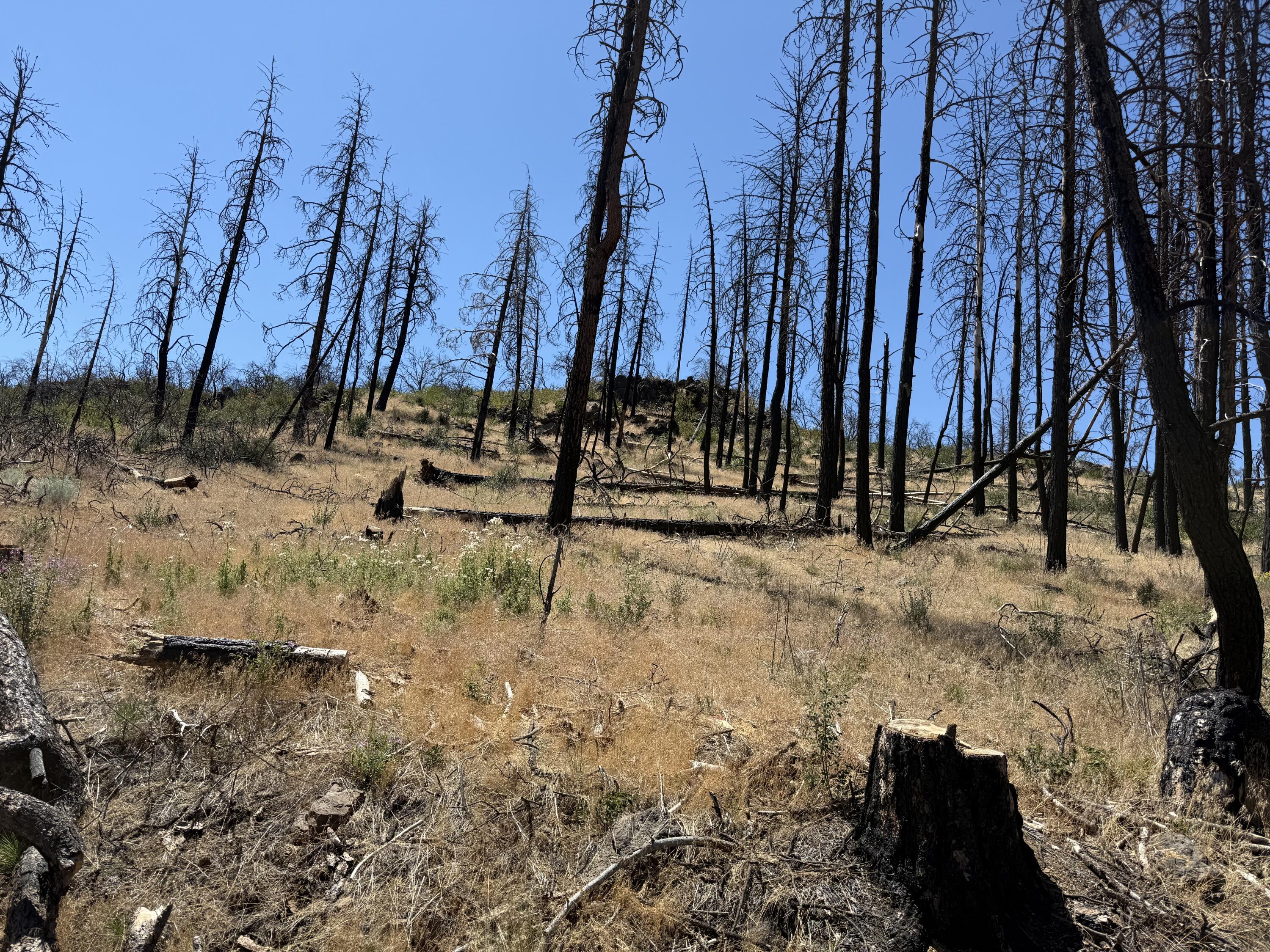 Klamath Falls Forest Estates Hwy 66 Unit Plat 4 - Land