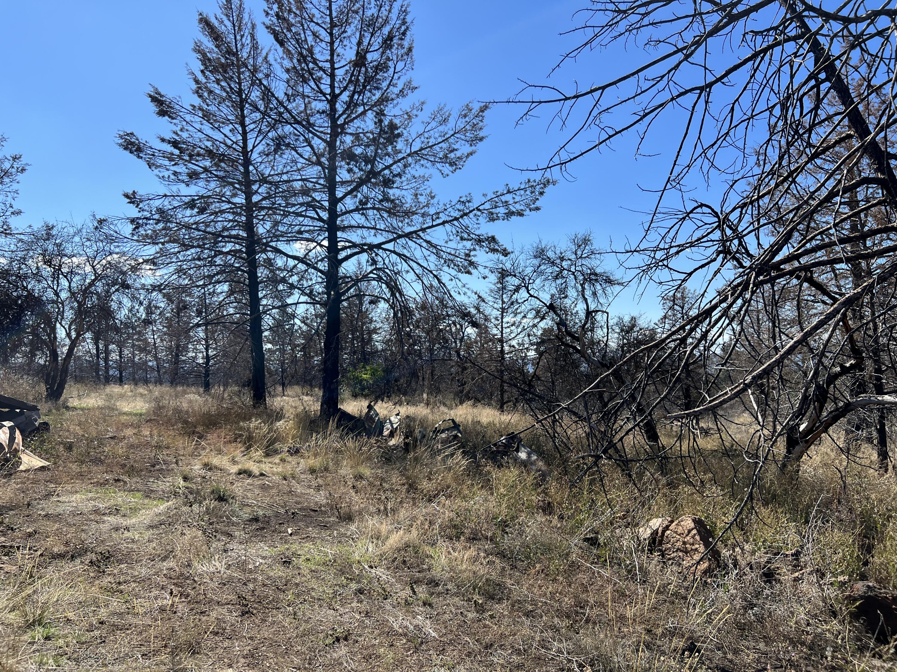 Klamath Falls Forest Estates Hwy 66 Unit Plat 4 - Land