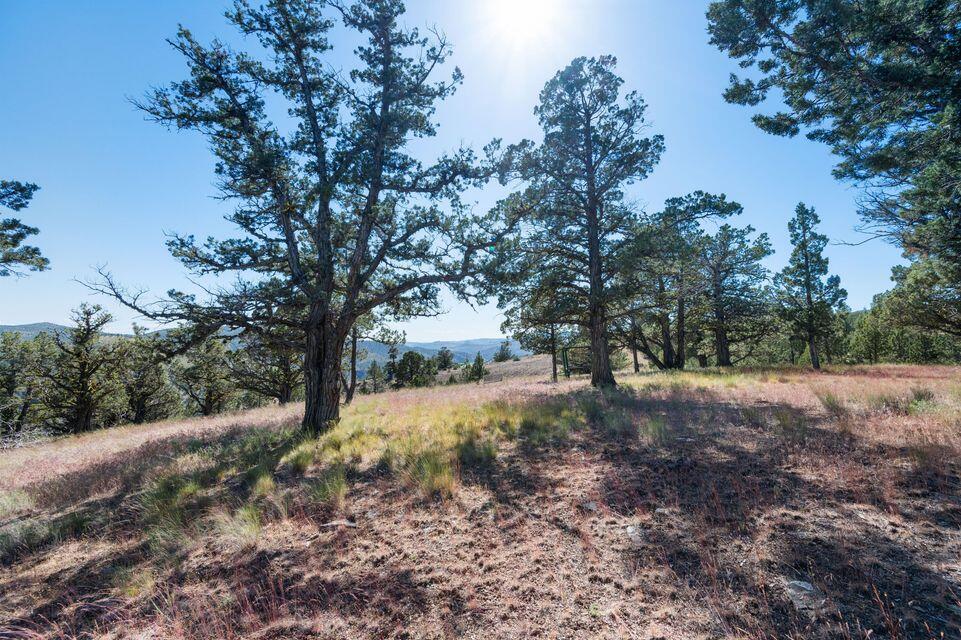 Riverside Ranch - Residential