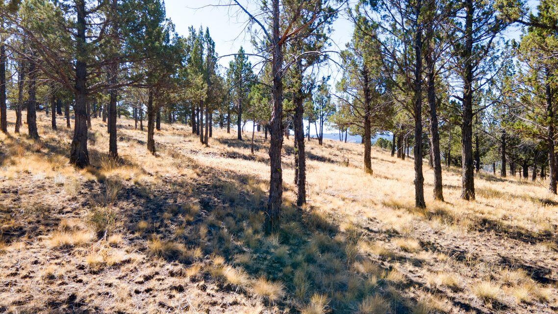 Riverside Ranch - Residential