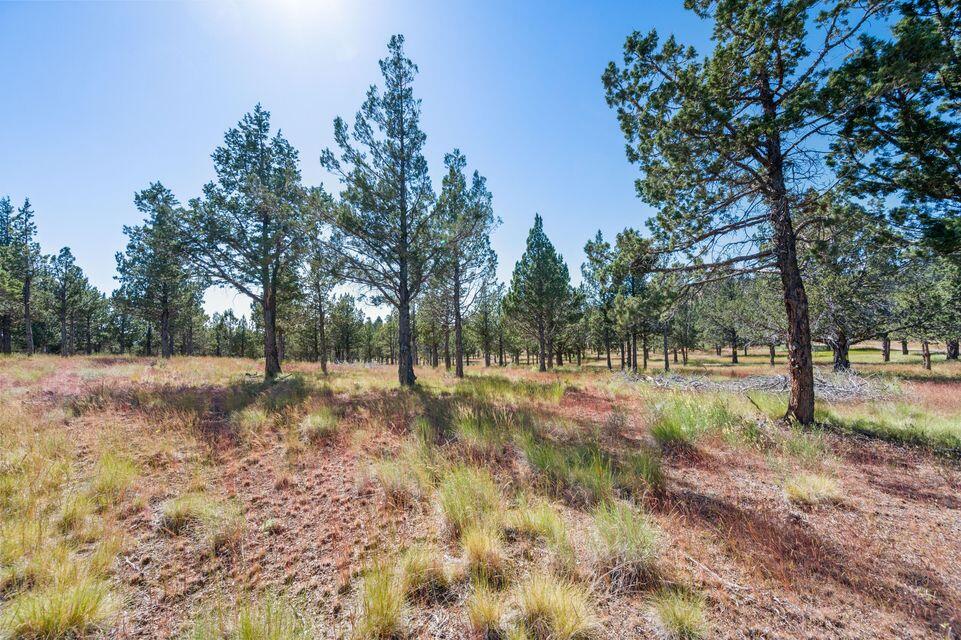 Riverside Ranch - Residential