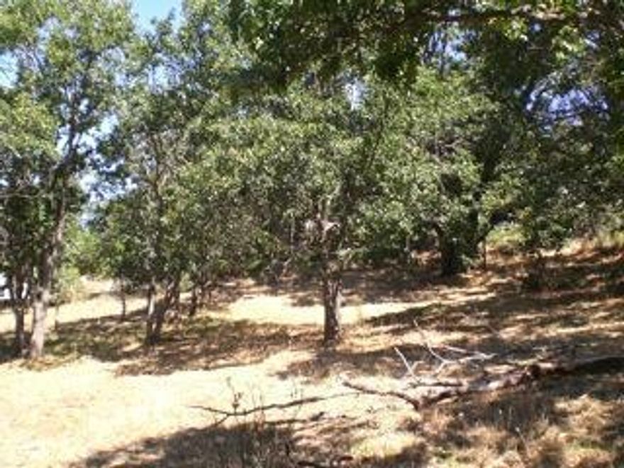 Attention! This lot is LOCATED across Thornton on the WEST side of Wimer. This is a very quiet, PRIVATE part of Wimer with beautiful VIEWS of the surrounding hills. Gently sloping and tree studded, this .58 acre lot has room for your home site wishes, RV;s, gardens, shop, pool, spectacular single level home*. All utilities available. (*Always check with the City of Ashland for lot coverage and approved uses)