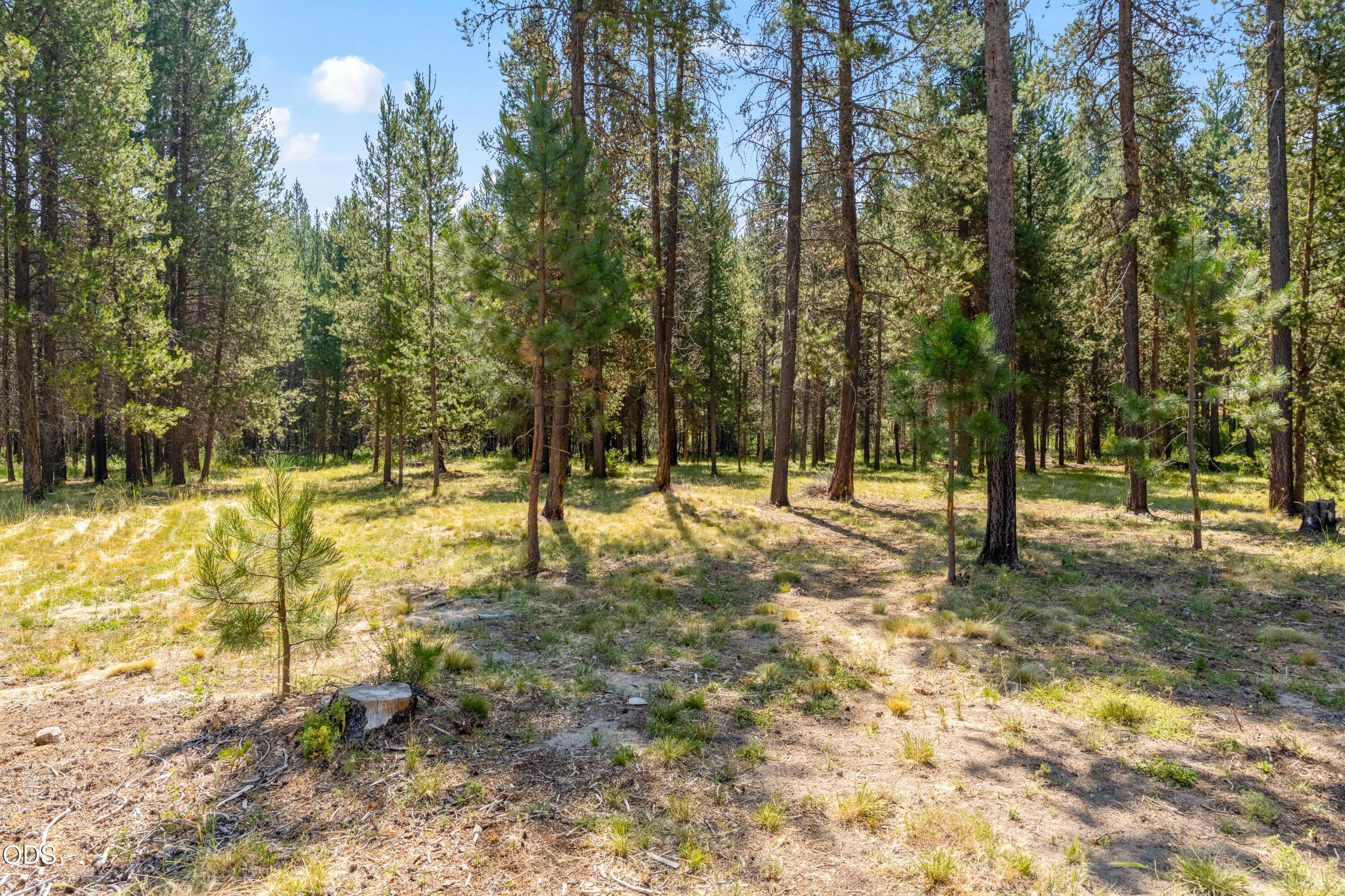 55471 Jamie Way