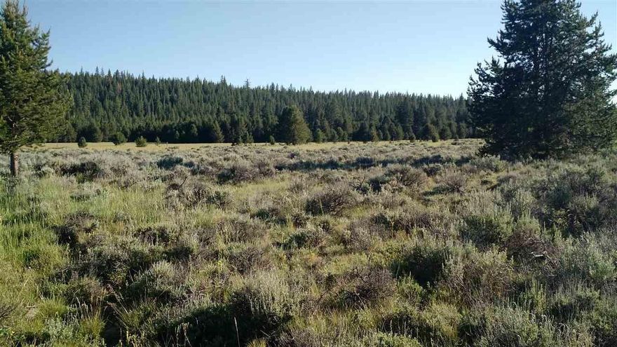 Nice Open 9.47 Acre Getaway Which Can Be Used As A Good Recreational Property. Near Forest Service Land, And Off Grid With Some Trees. Also Close To Great Hunting And Fishing Locations.