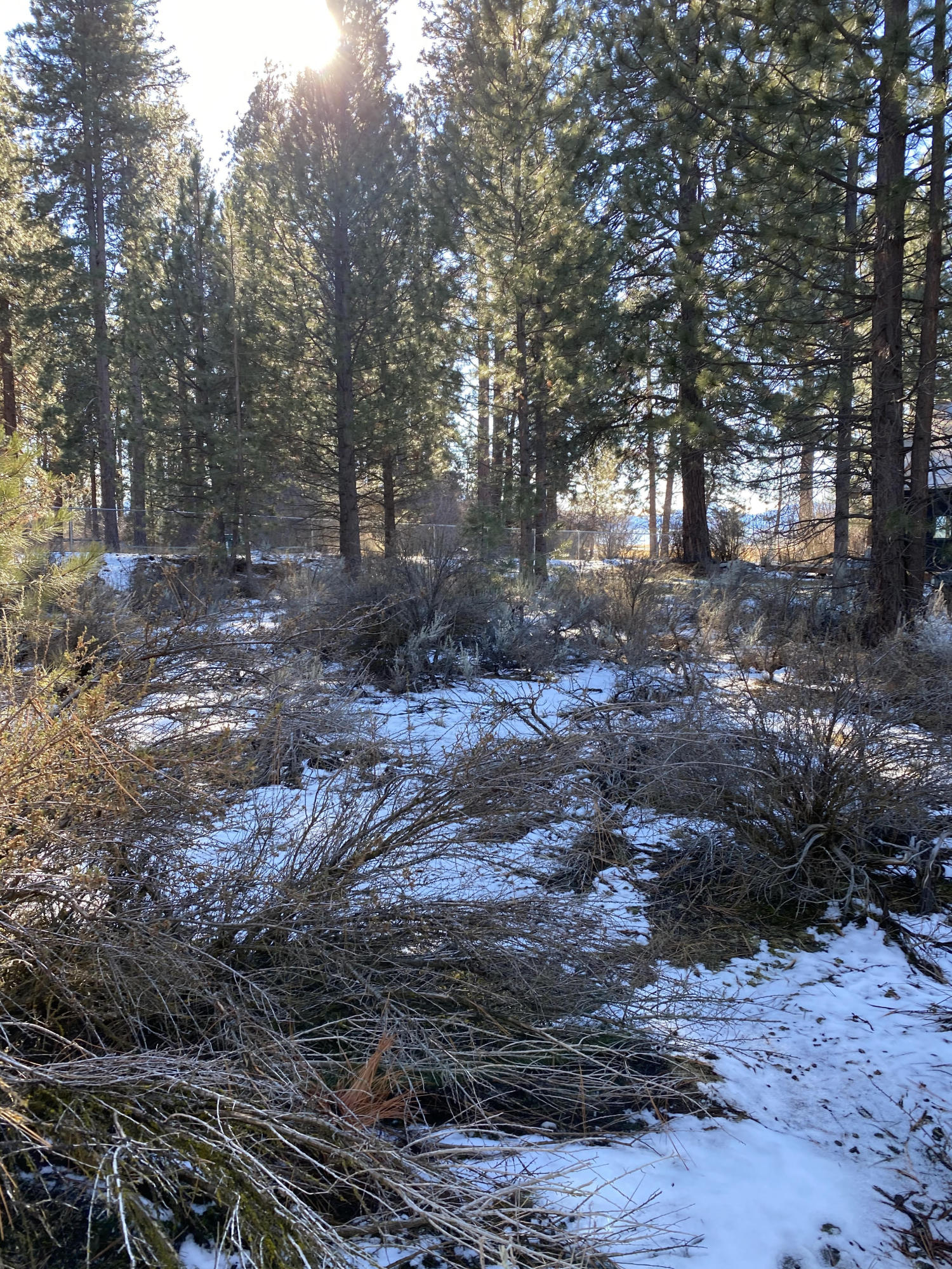 Oregon Shores -Unit 2-First Addition - Land