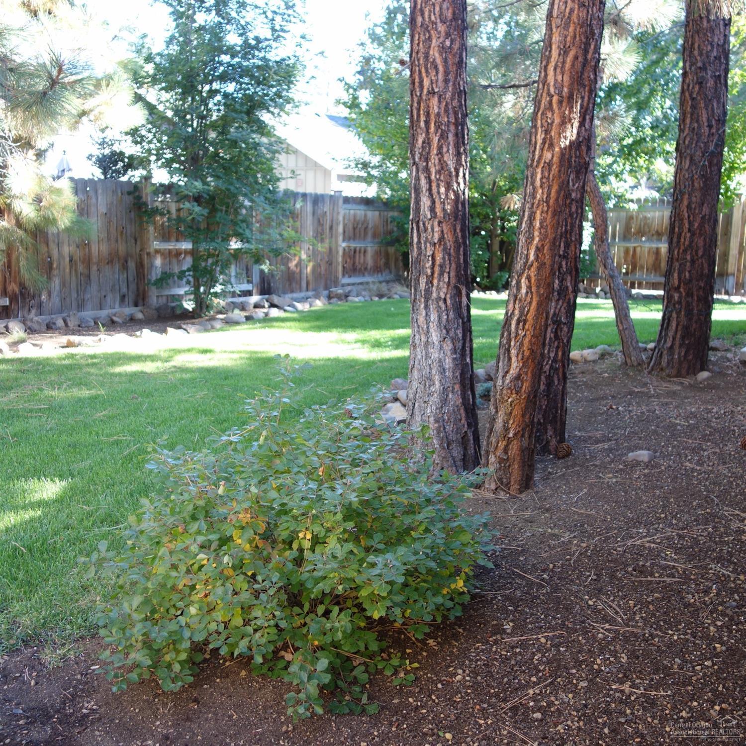 Village@Cold Springs - Residential